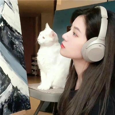 从来没有开枪